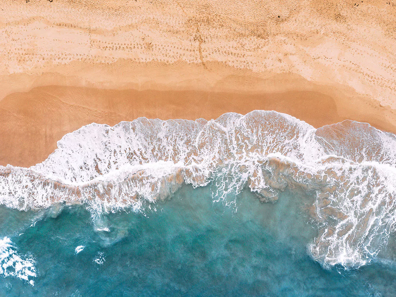 The Sea
