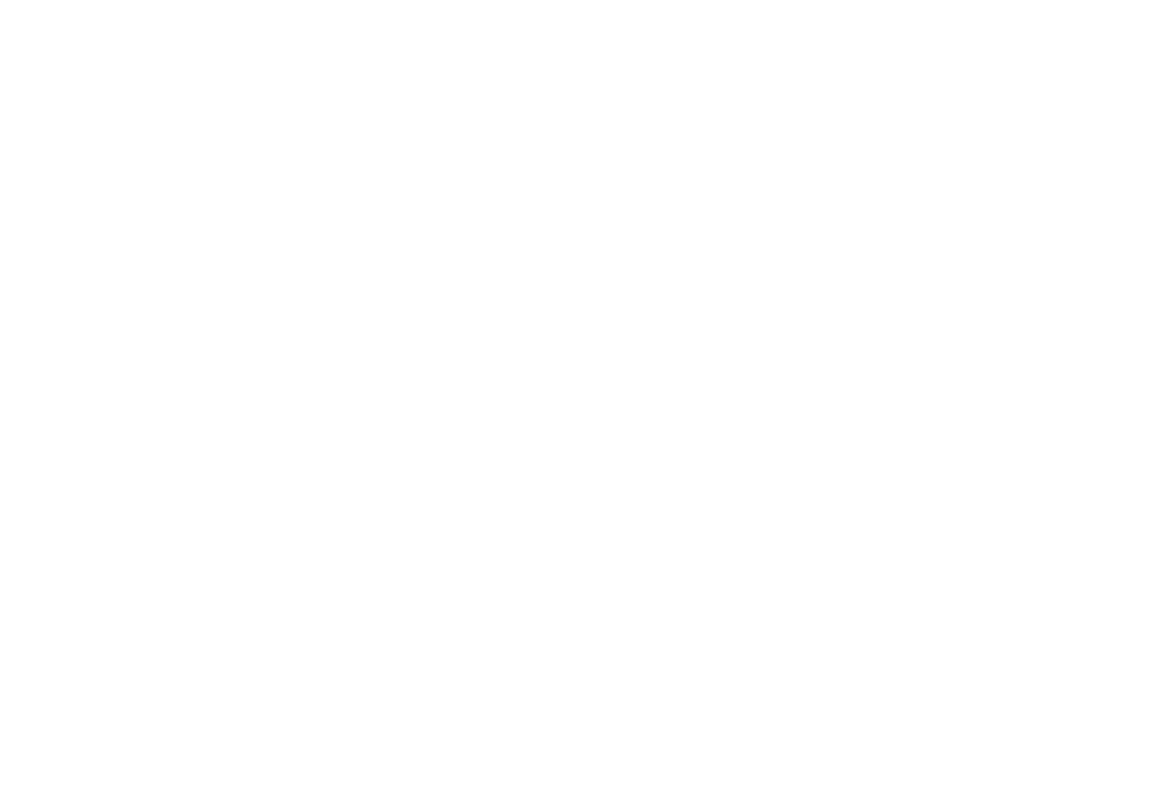 Youth Leads
